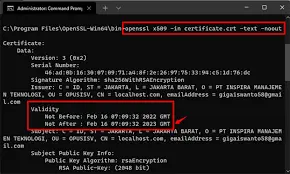 Apache SSL Date Checker